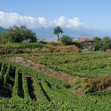 Feriehus Preciosa Casa Tfe Norte, A 12km Puerto De La Cruz La Matanza De Acentejo
